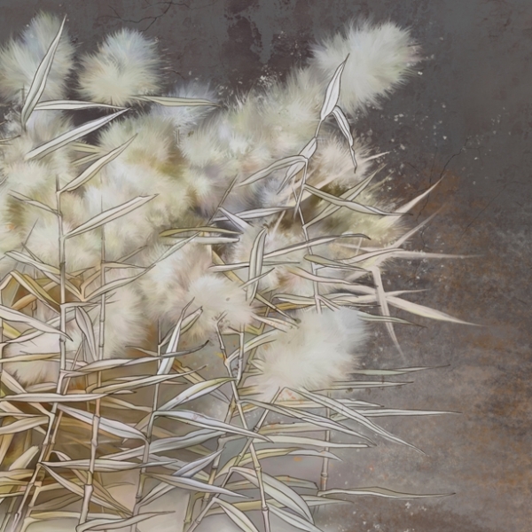 Nástěnná malba Plant Down