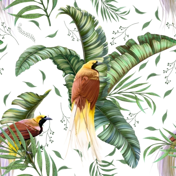 Nástěnná malba Ptáci ráje