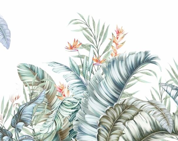 Nástěnná grafika rostlin