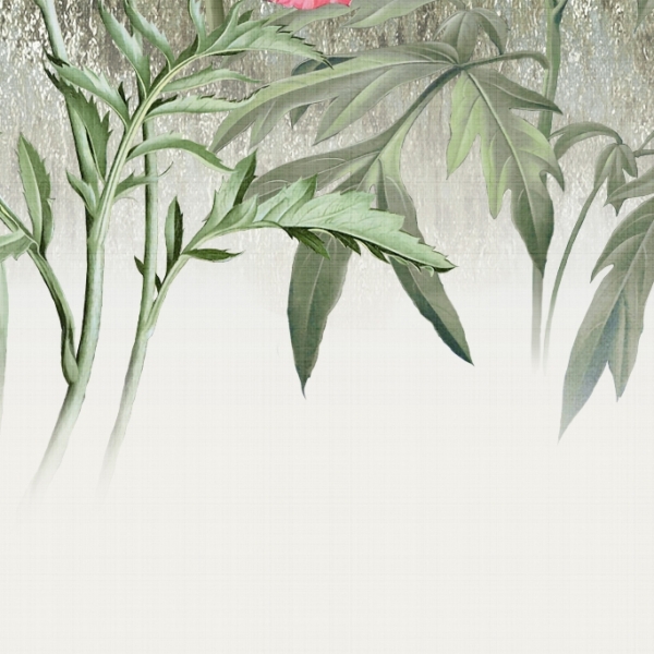 Nástěnná grafika rostlin