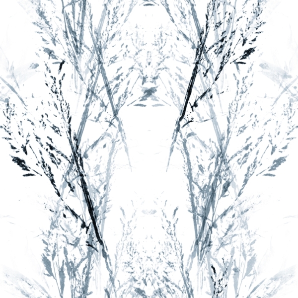 Tapety Zeleninové složení