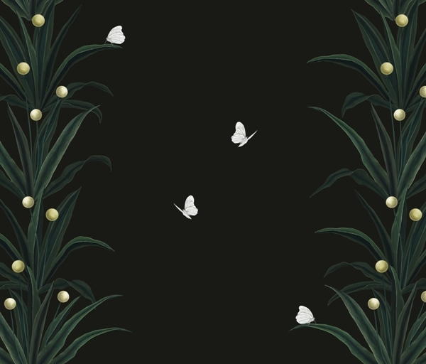 Nástěnná malba Rostliny na černém pozadí