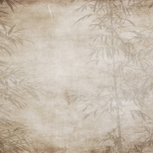 Nástěnné rostliny v sépiové barvě