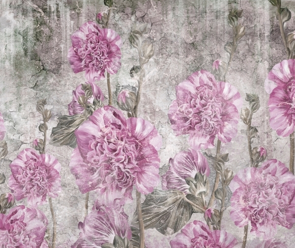 Růžové karafiáty tapety