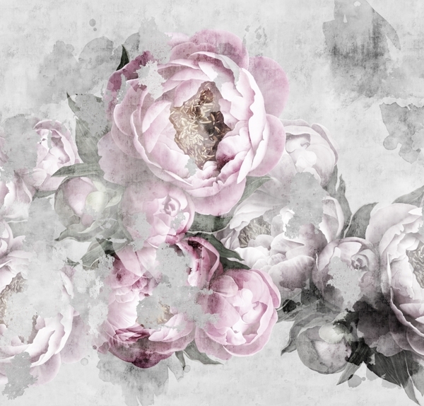 Fototapeta růžové pivoňky rozmazané v šedé barvě