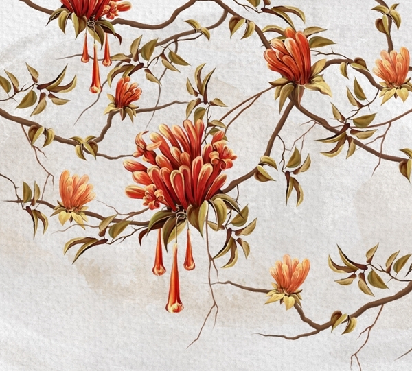 Nástěnná malba červených květů na bílém pozadí