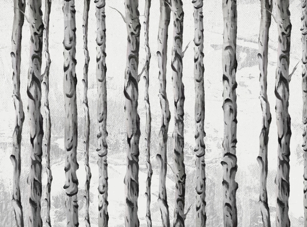 Nástěnná malba Řada březových kmenů