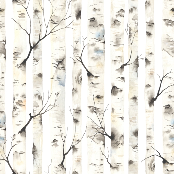 Nástěnná malba březového lesa