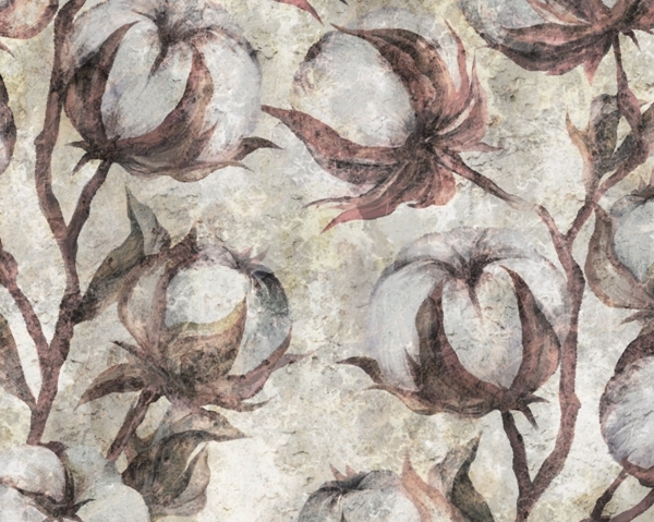 Bavlna květ nástěnné malby