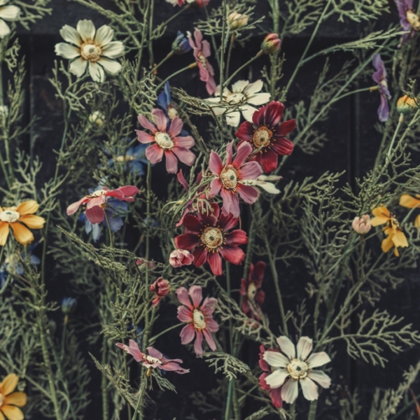 Nástěnná malba zahradních květin