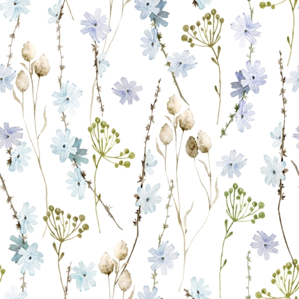 Nástěnná malba Chrpy