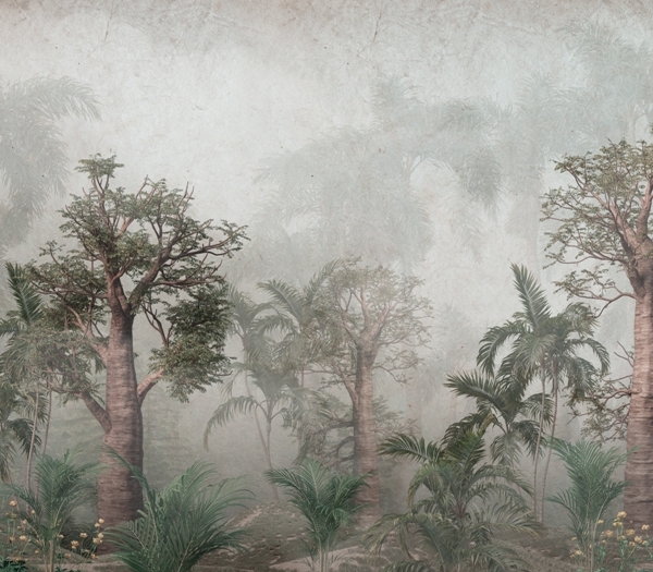 Nástěnné sekvoje v mlze