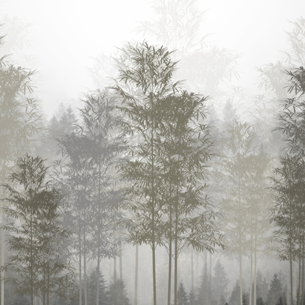Nástěnná malba Štíhlé stromy v mlze