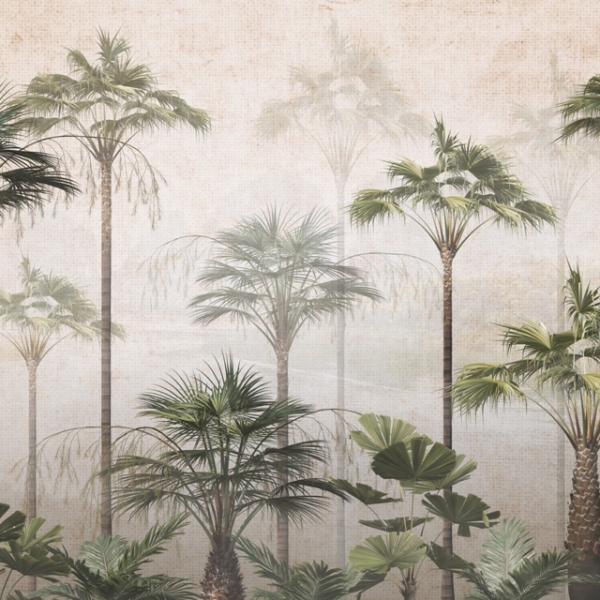 Nástěnná malba Štíhlé palmy v mlze