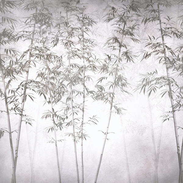 Štíhlý les tapety