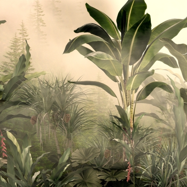 Fototapeta Svítání v džungli