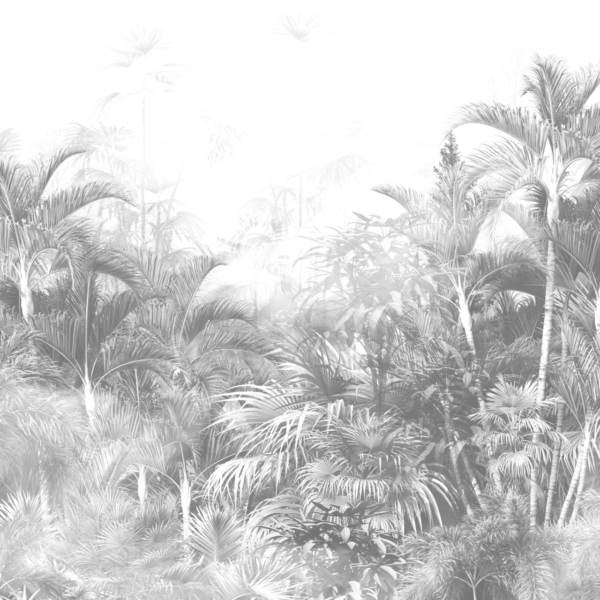 Fototapeta Šedá hustá džungle