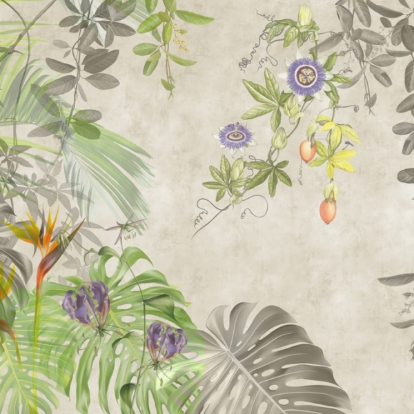 Nástěnná malba Grey Monstera