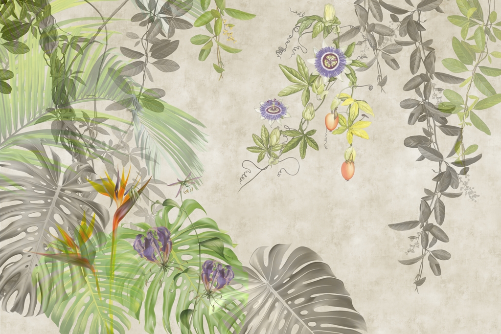 Fototapeta-Szara-Monstera_2259881181-1