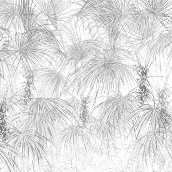 Fototapeta Šedé palmy