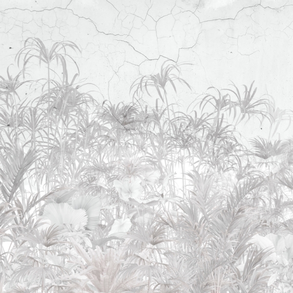 Nástěnná malba Šedé rostliny na zdi