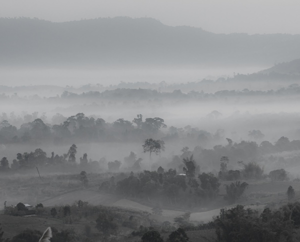 Nástěnná malba Šedá krajina
