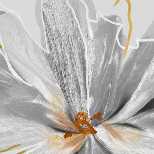 Nástěnná malba Grey Flower