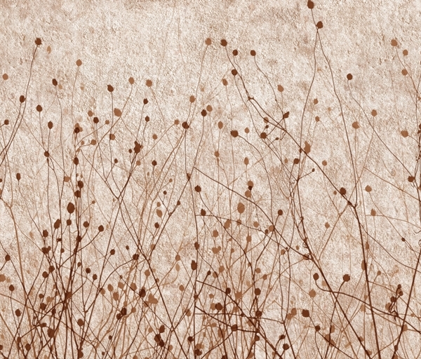 Nástěnná malba okrasné trávy