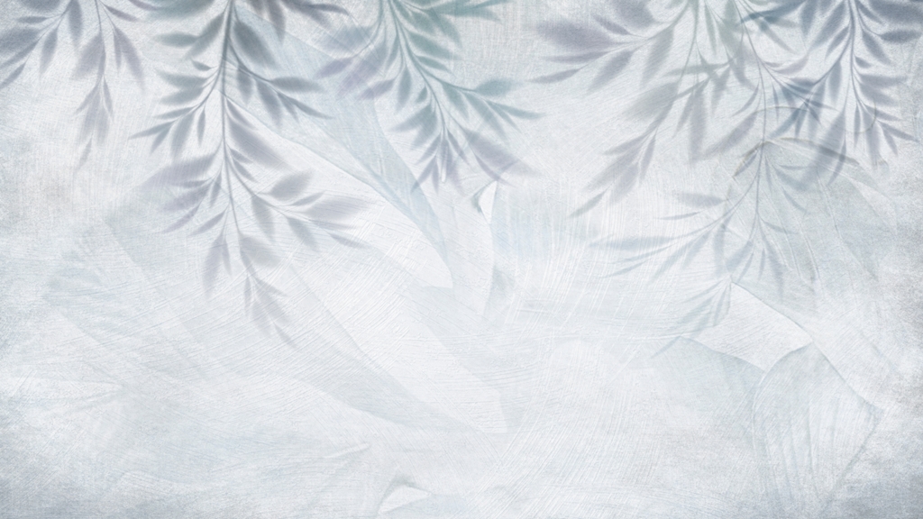 Fototapeta-W-Cieniu_2221842969-1