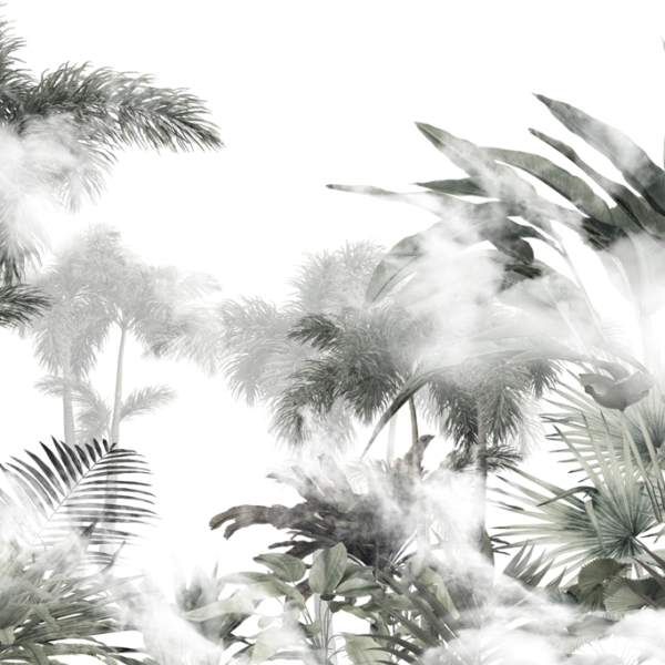 Nástěnná malba vrcholků palem za mlhou