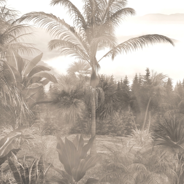 Nástěnná malba Vysoká palma v mlze