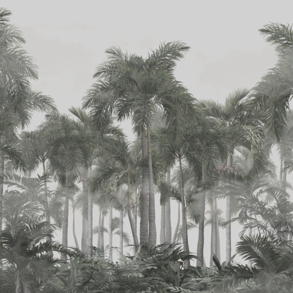 Nástěnná malba Vysoké palmy bez barvy
