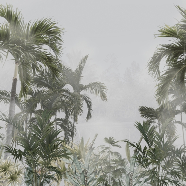 Nástěnná malba Vysoké palmy v mlze