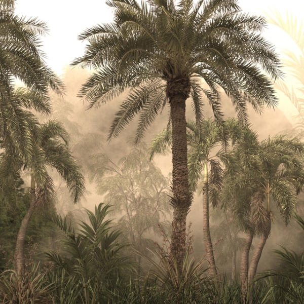 Nástěnná malba Vysoké palmy na slunci