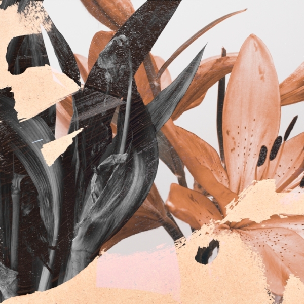 Nástěnná malba Rozmazané lilie