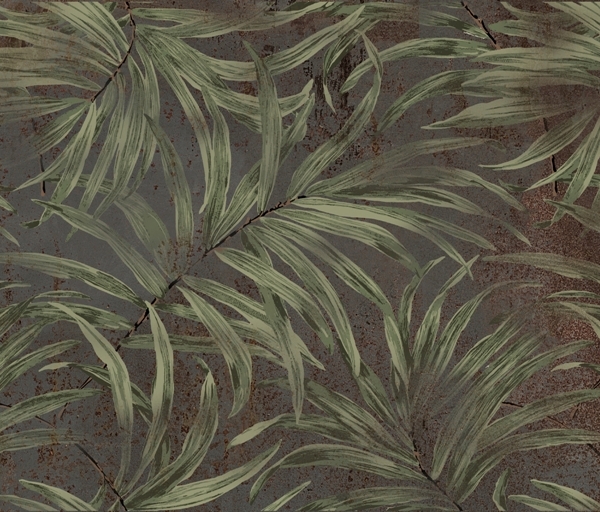 Nástěnná zeleň listů dracény