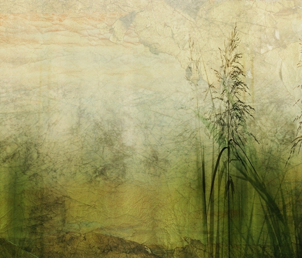 Nástěnná malba zelené trávy