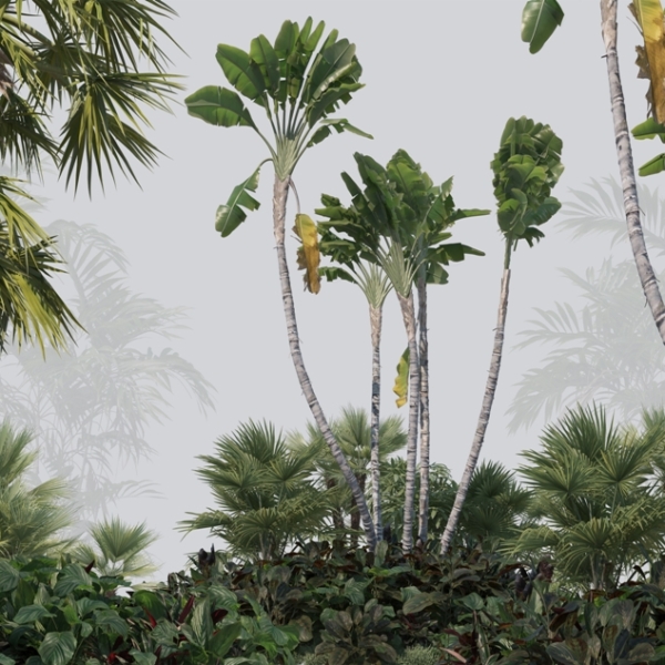 Nástěnná malba tropické zeleně a mlhy