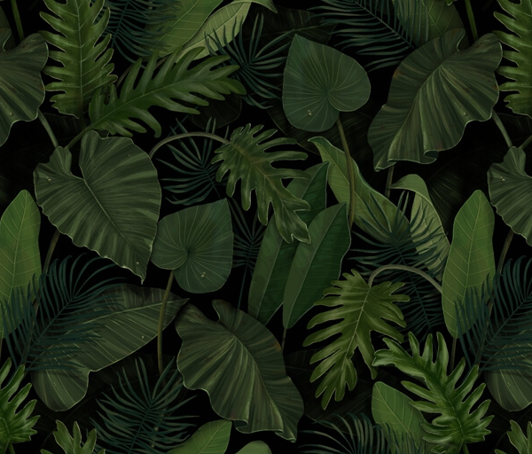 Nástěnná malba Zelené listy