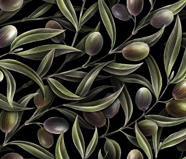 Nástěnná malba Zelené olivy