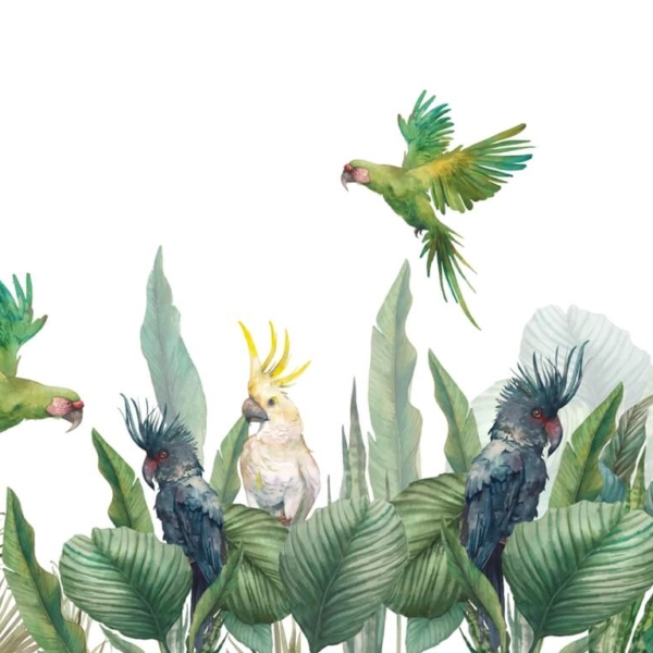 Nástěnná malba Zelení papoušci