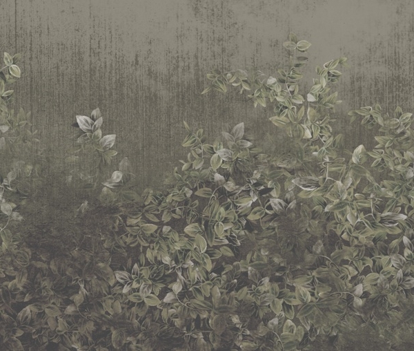 Nástěnná malba Zelený břečťan na tmavém pozadí