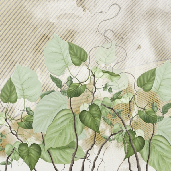 Nástěnná malba zeleného břečťanu