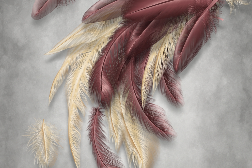 Cement background with beautiful feathers wallpaper