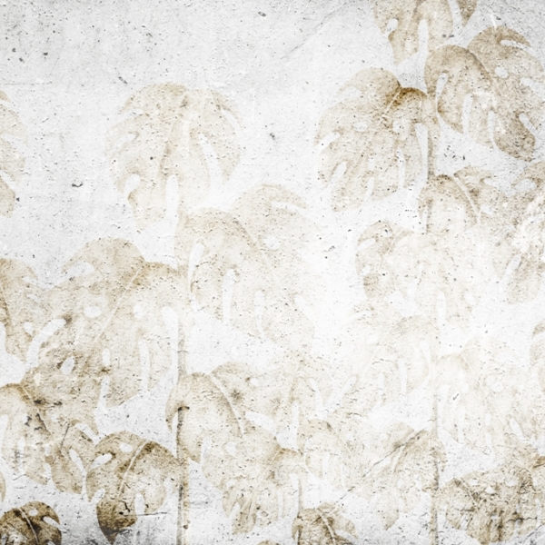 Zničená nástěnná malba Monstera