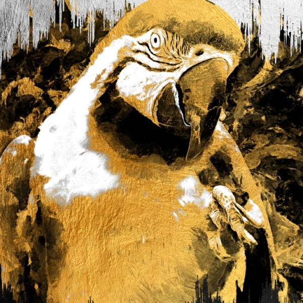 Nástěnná malba Žlutý papoušek