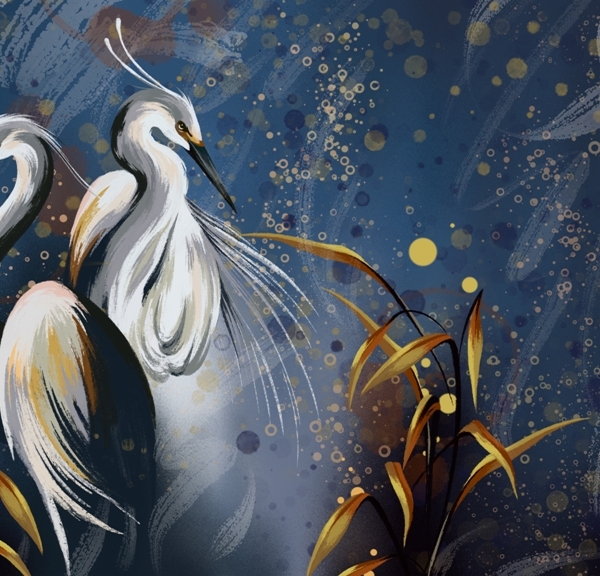 Tapety jeřáby na námořnicky modrém pozadí