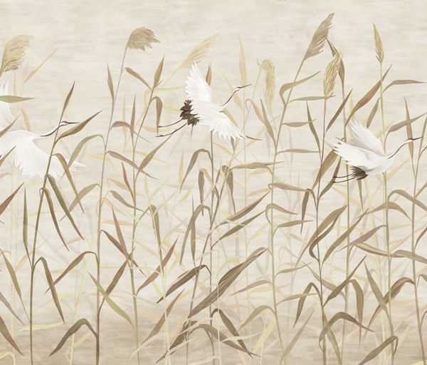 Nástěnní jeřábi mezi travinami