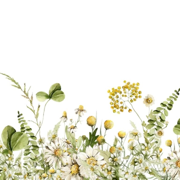 Nástěnná malba Žlutá louka