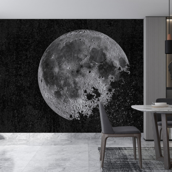 Nástěnná malba Moon Black